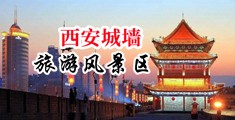 喷水的嫩穴中国陕西-西安城墙旅游风景区