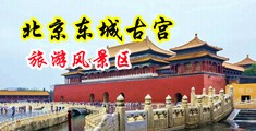 操逼逼骚鸡巴操视频中国北京-东城古宫旅游风景区